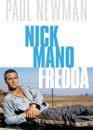 Nick Mano Fredda - movies