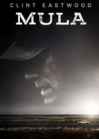 Mula - movies